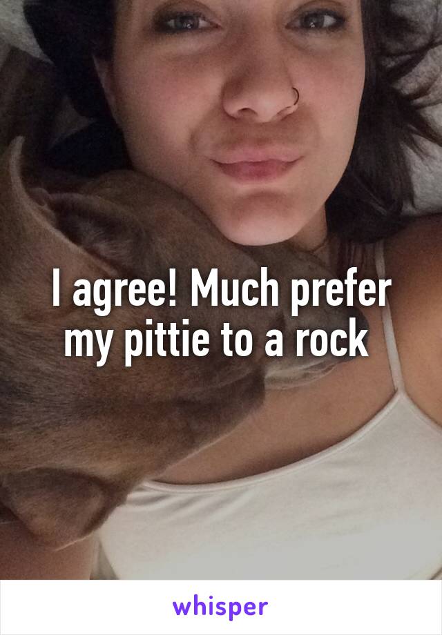 I agree! Much prefer my pittie to a rock 