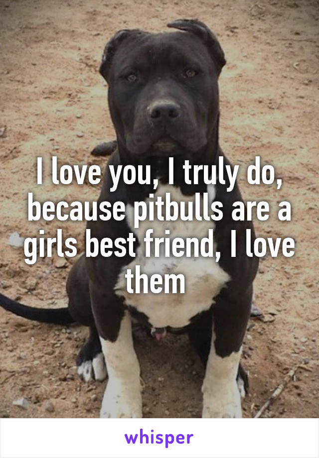 I love you, I truly do, because pitbulls are a girls best friend, I love them 