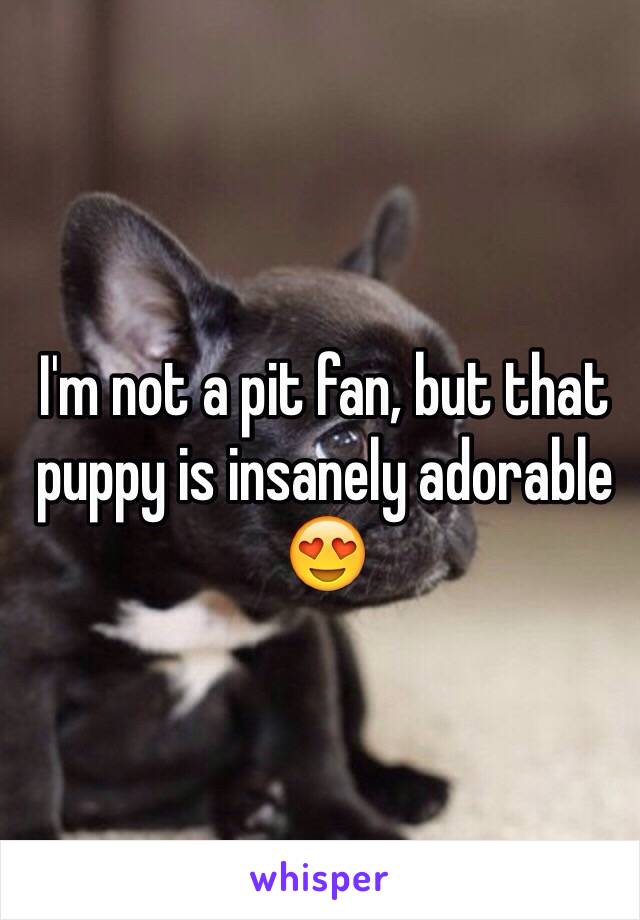 I'm not a pit fan, but that puppy is insanely adorable 😍