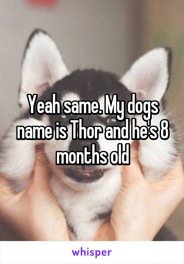 Yeah same. My dogs name is Thor and he's 8 months old