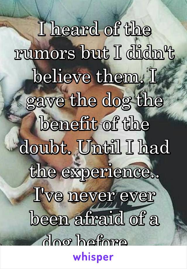 I heard of the rumors but I didn't believe them. I gave the dog the benefit of the doubt. Until I had the experience.. I've never ever been afraid of a dog before... 