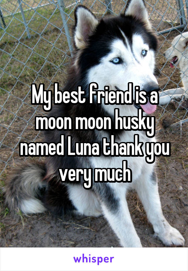 My best friend is a moon moon husky named Luna thank you very much