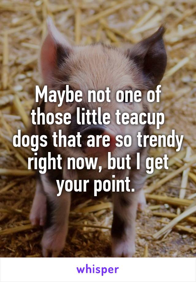 Maybe not one of those little teacup dogs that are so trendy right now, but I get your point. 