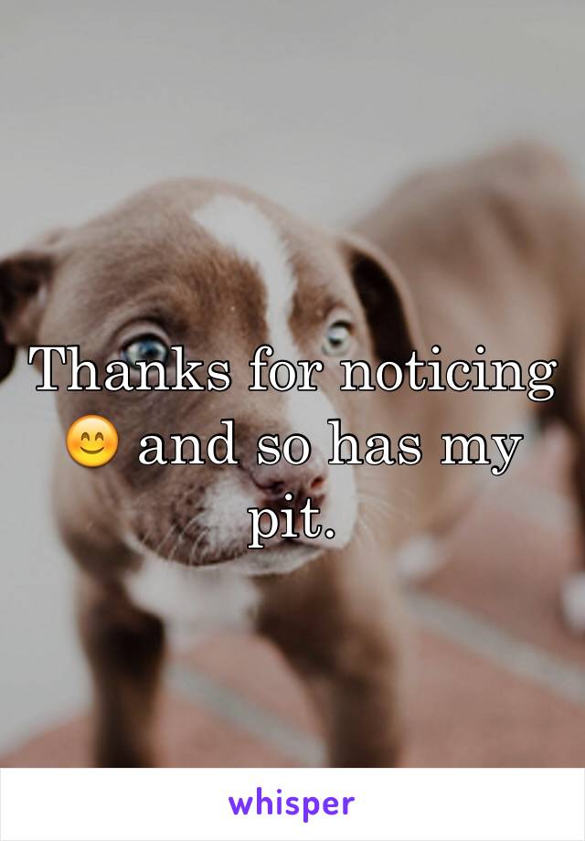 Thanks for noticing 😊 and so has my pit. 