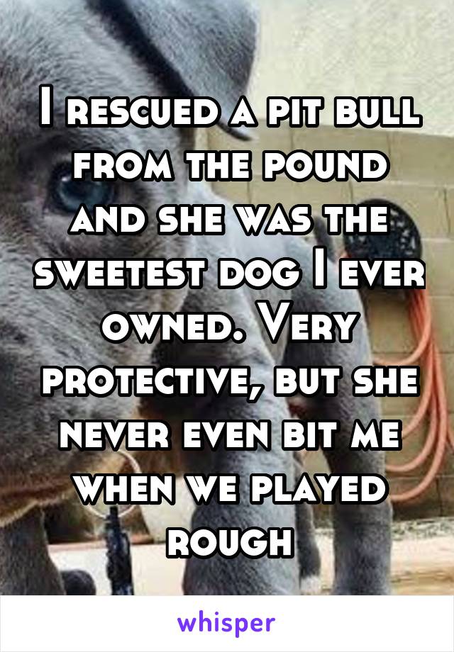 I rescued a pit bull from the pound and she was the sweetest dog I ever owned. Very protective, but she never even bit me when we played rough