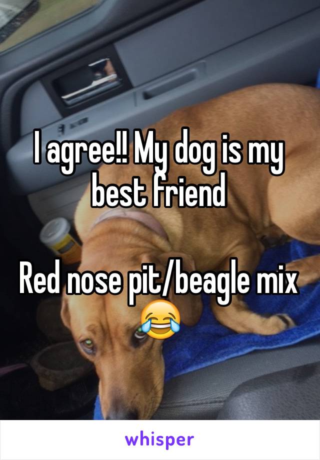 I agree!! My dog is my best friend 

Red nose pit/beagle mix 😂