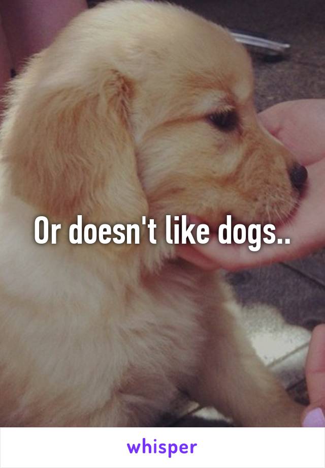 Or doesn't like dogs..