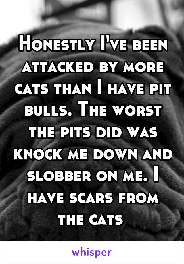 Honestly I've been attacked by more cats than I have pit bulls. The worst the pits did was knock me down and slobber on me. I have scars from the cats 