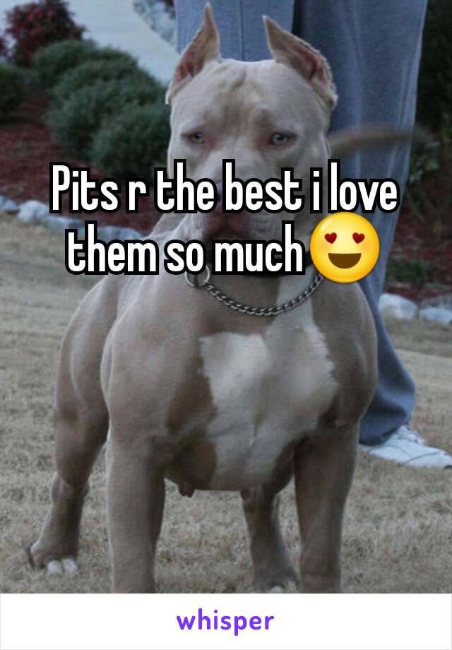 Pits r the best i love them so much😍