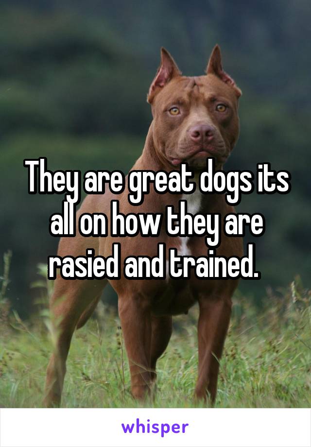 They are great dogs its all on how they are rasied and trained. 