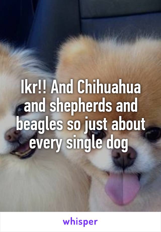 Ikr!! And Chihuahua and shepherds and beagles so just about every single dog 