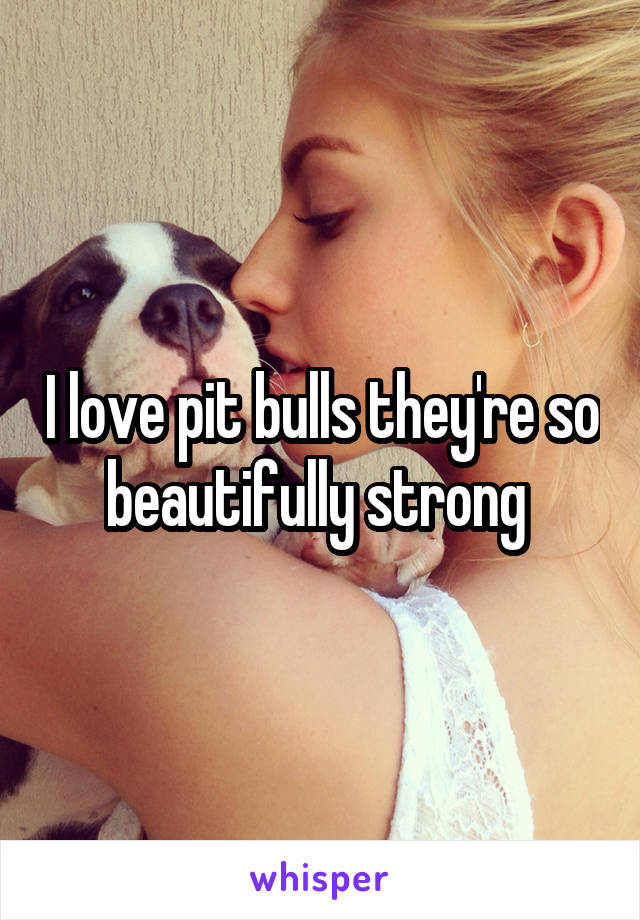 I love pit bulls they're so beautifully strong 