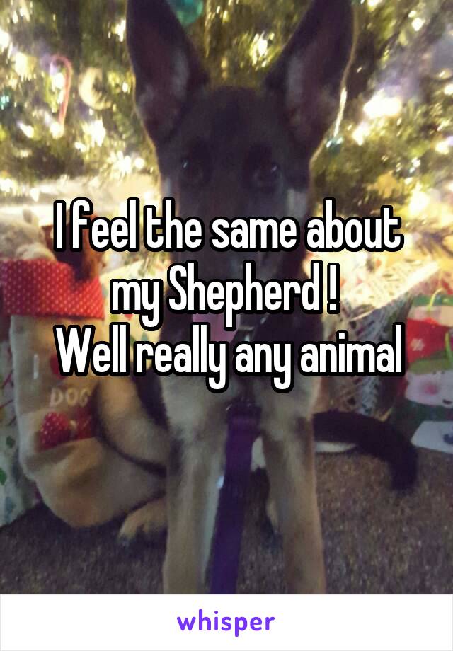 I feel the same about my Shepherd ! 
Well really any animal
