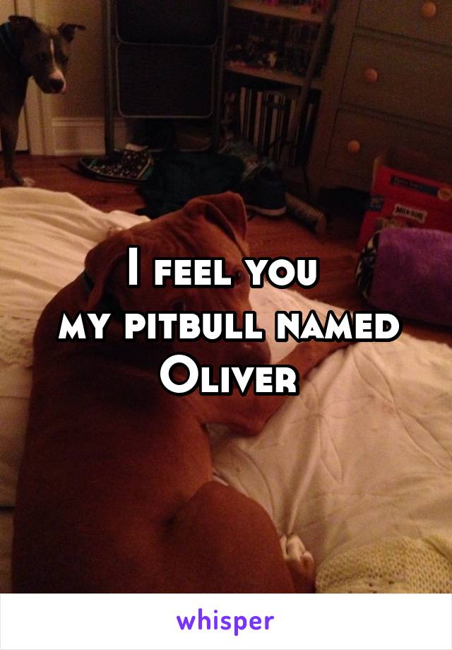 I feel you 
my pitbull named Oliver