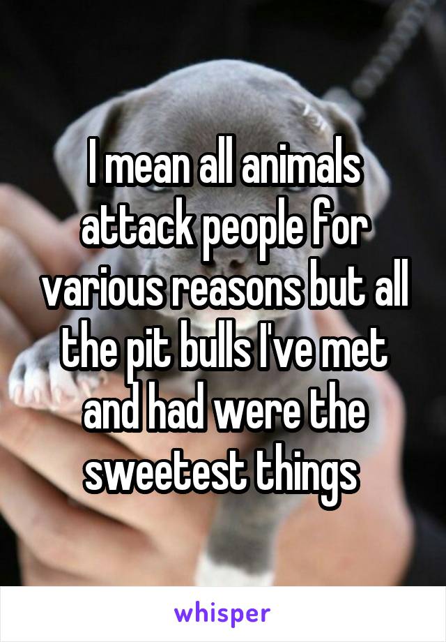 I mean all animals attack people for various reasons but all the pit bulls I've met and had were the sweetest things 