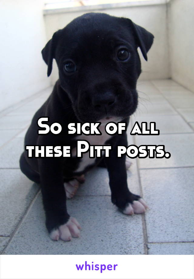 So sick of all these Pitt posts.