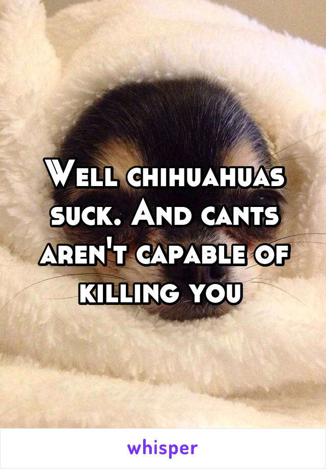 Well chihuahuas suck. And cants aren't capable of killing you 