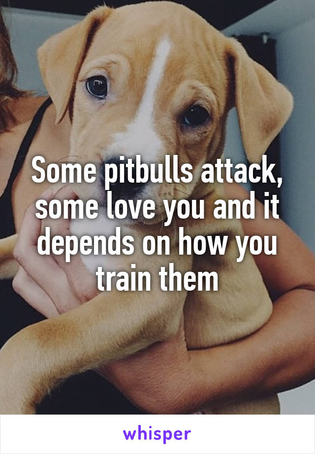 Some pitbulls attack, some love you and it depends on how you train them