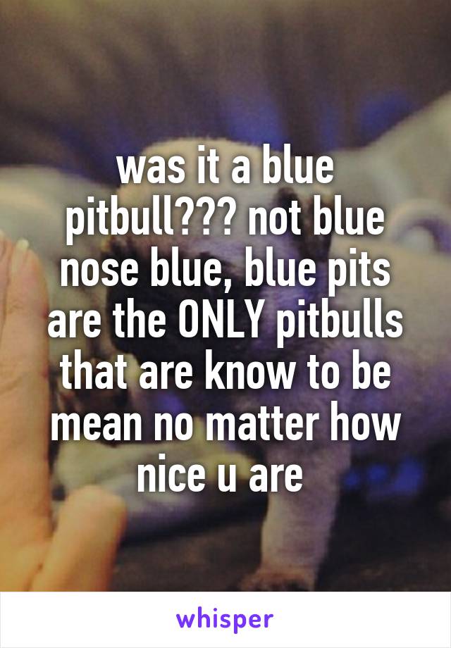 was it a blue pitbull??? not blue nose blue, blue pits are the ONLY pitbulls that are know to be mean no matter how nice u are 