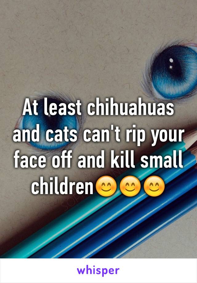 At least chihuahuas and cats can't rip your face off and kill small children😊😊😊