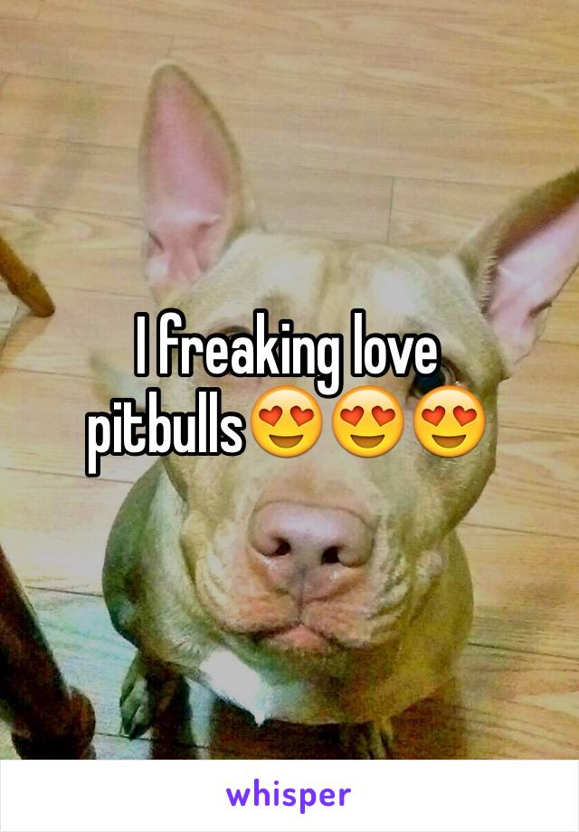 I freaking love pitbulls😍😍😍
