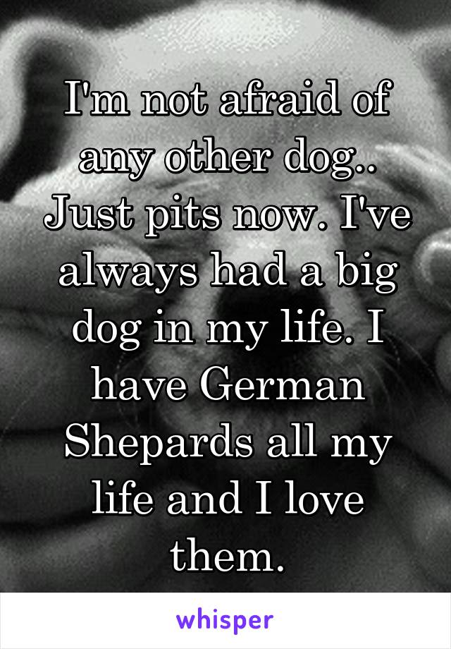 I'm not afraid of any other dog.. Just pits now. I've always had a big dog in my life. I have German Shepards all my life and I love them.