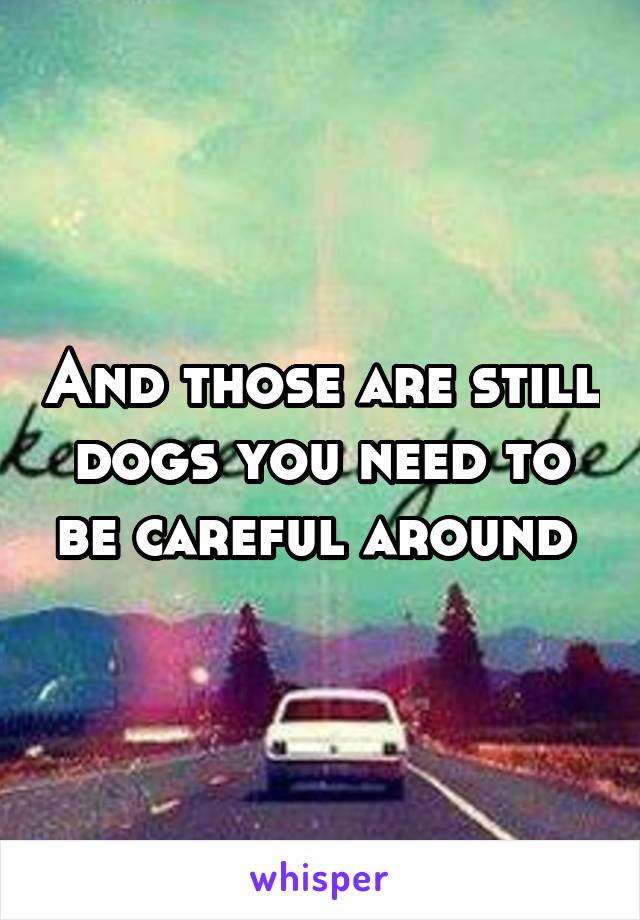 And those are still dogs you need to be careful around 