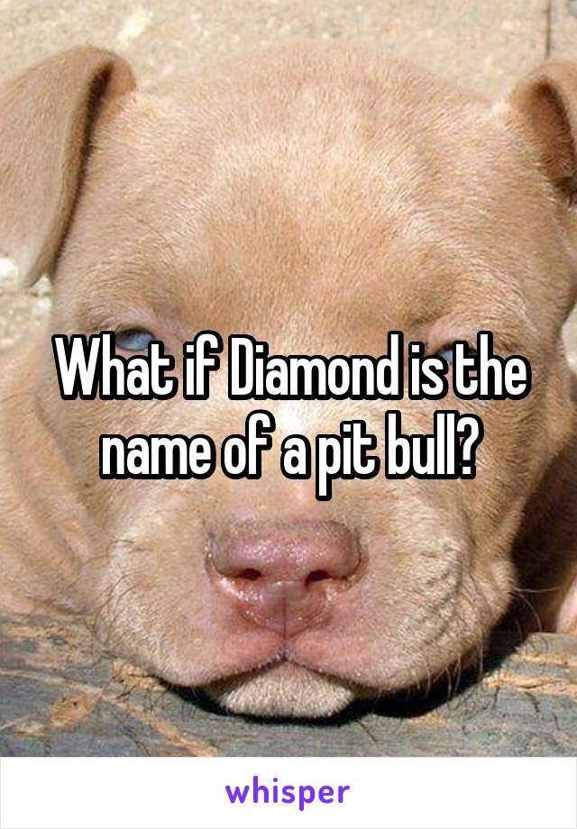 What if Diamond is the name of a pit bull?