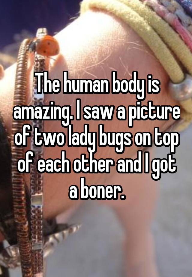 The human body is amazing. I saw a picture of two lady bugs on top of each other and I got a boner.