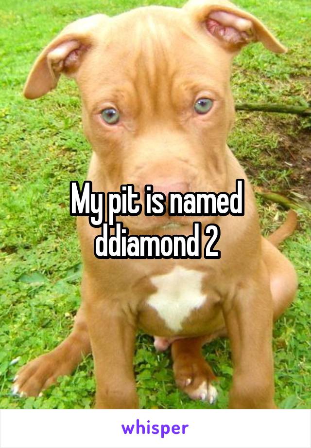 My pit is named ddiamond 2