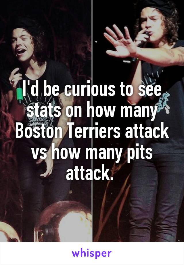 I'd be curious to see stats on how many Boston Terriers attack vs how many pits attack. 