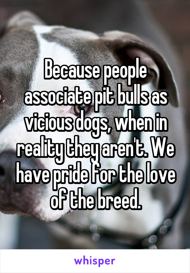 Because people associate pit bulls as vicious dogs, when in reality they aren't. We have pride for the love of the breed.