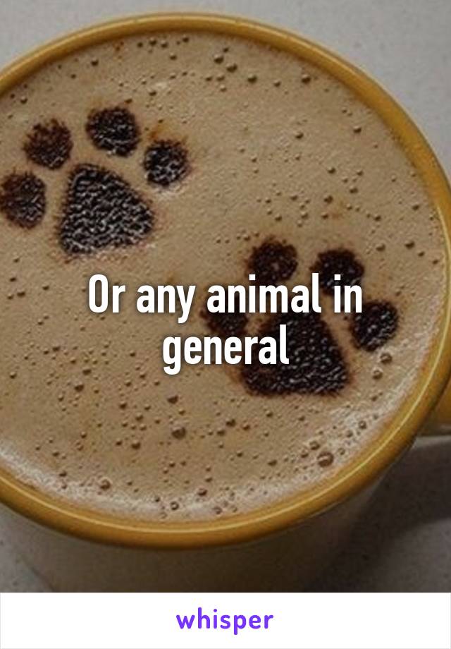 Or any animal in general