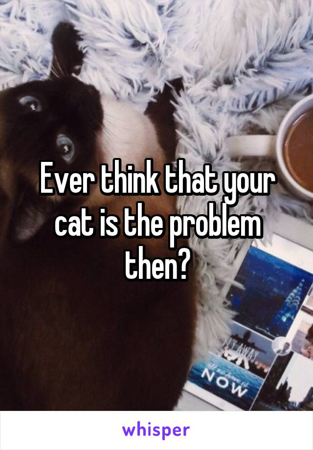 Ever think that your cat is the problem then?