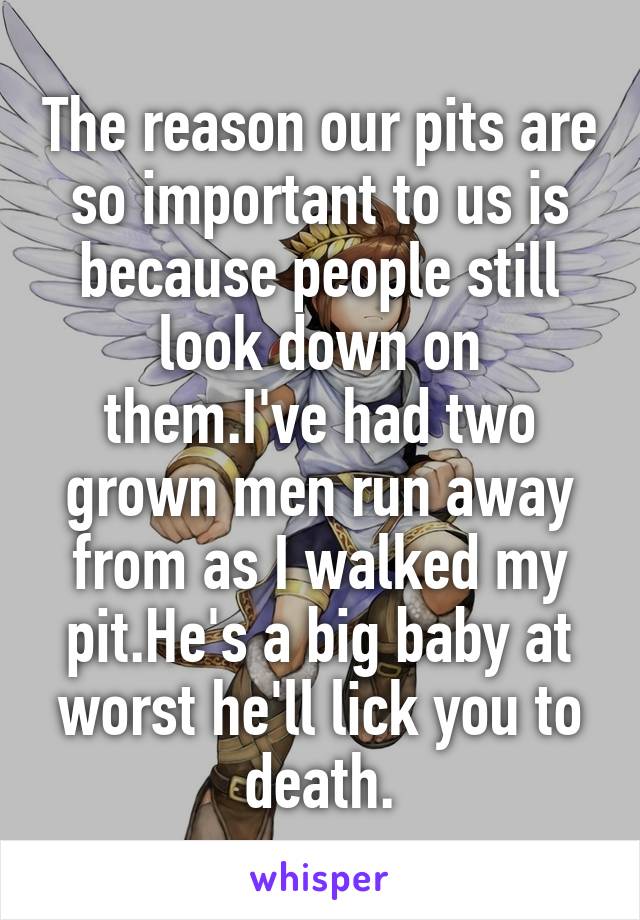 The reason our pits are so important to us is because people still look down on them.I've had two grown men run away from as I walked my pit.He's a big baby at worst he'll lick you to death.