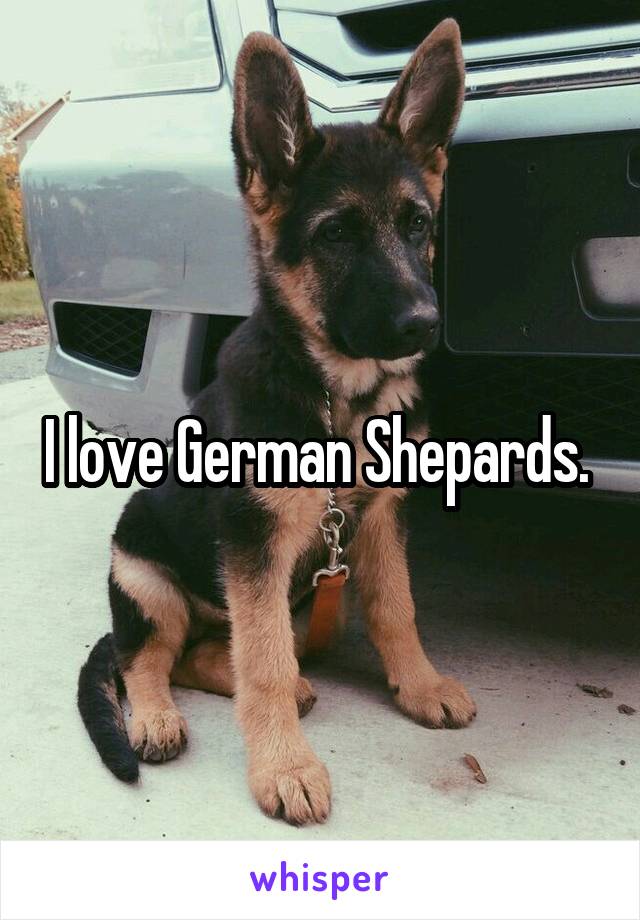 I love German Shepards. 