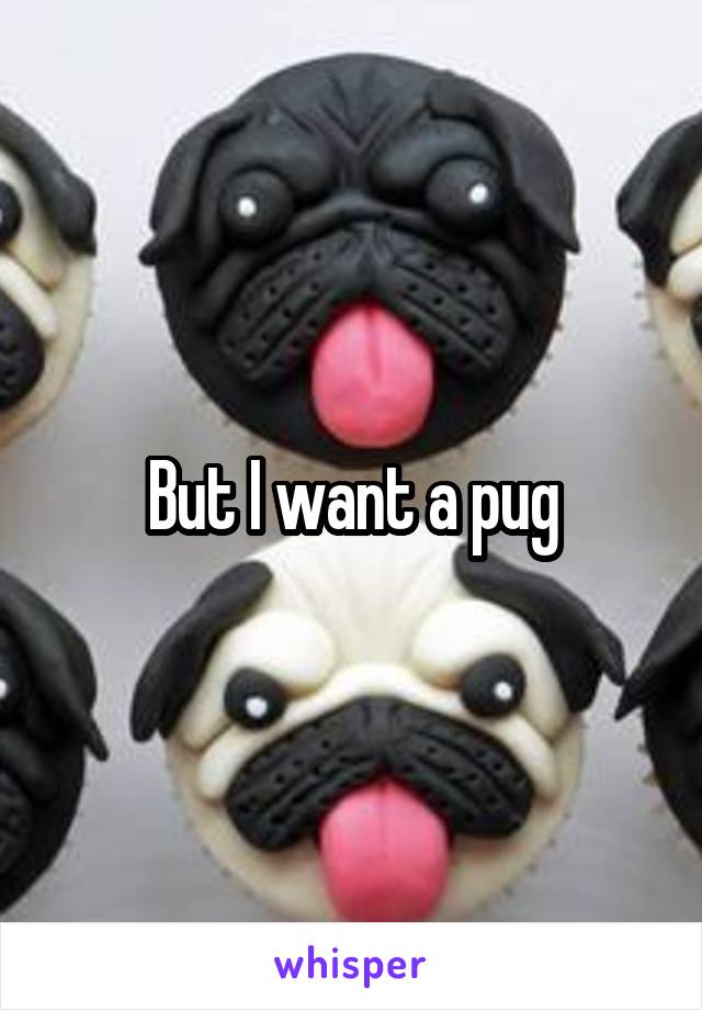 But I want a pug