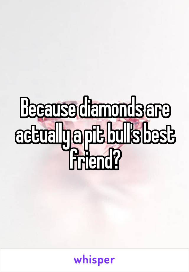 Because diamonds are actually a pit bull's best friend?