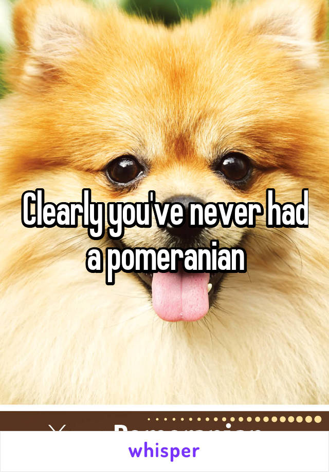 Clearly you've never had a pomeranian