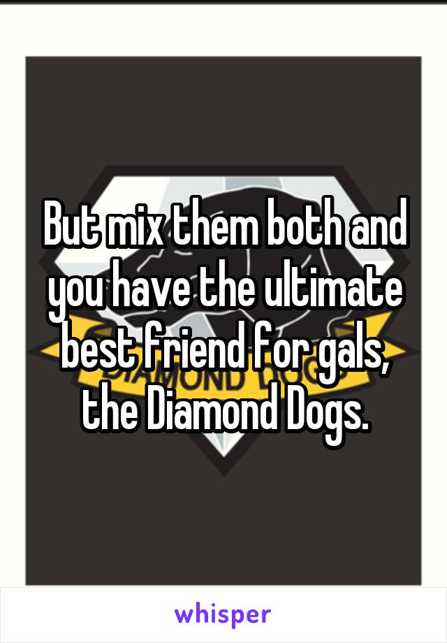 But mix them both and you have the ultimate best friend for gals, the Diamond Dogs.