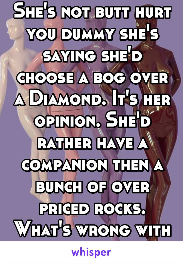 She's not butt hurt you dummy she's saying she'd choose a bog over a Diamond. It's her opinion. She'd rather have a companion then a bunch of over priced rocks. What's wrong with that?