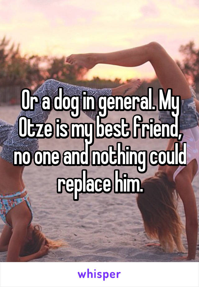 Or a dog in general. My Otze is my best friend, no one and nothing could replace him.