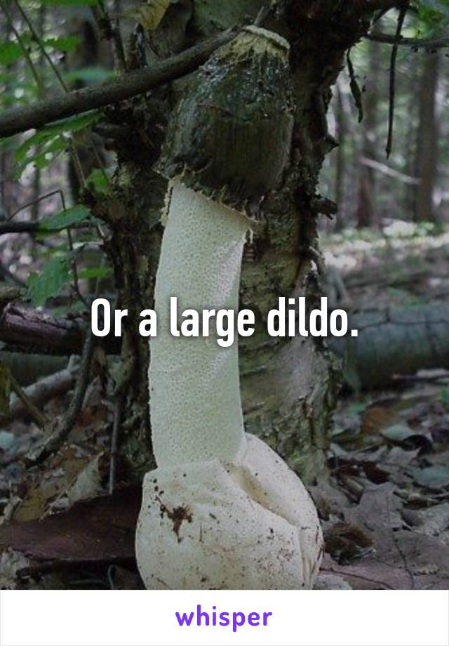 Or a large dildo.