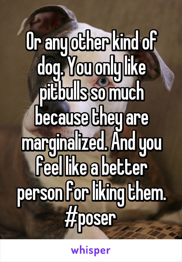 Or any other kind of dog. You only like pitbulls so much because they are marginalized. And you feel like a better person for liking them. #poser 