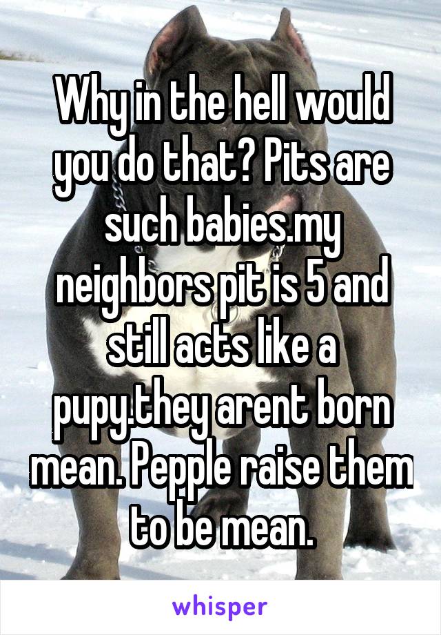 Why in the hell would you do that? Pits are such babies.my neighbors pit is 5 and still acts like a pupy.they arent born mean. Pepple raise them to be mean.