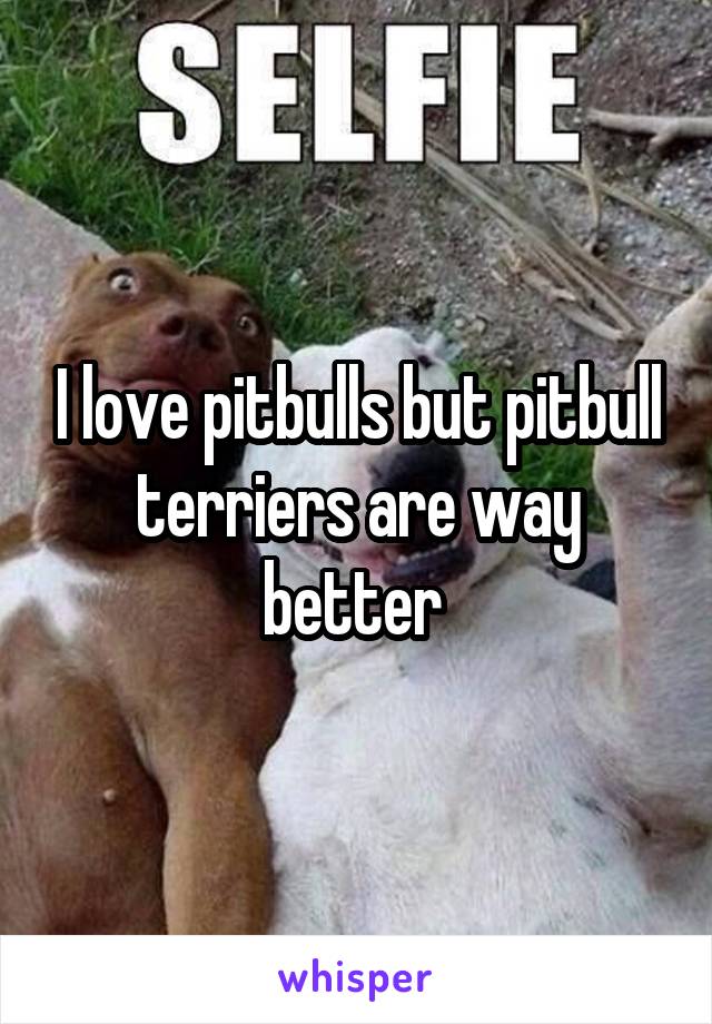 I love pitbulls but pitbull terriers are way better 