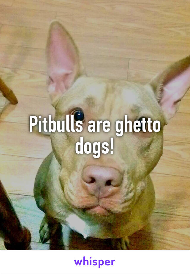 Pitbulls are ghetto dogs!