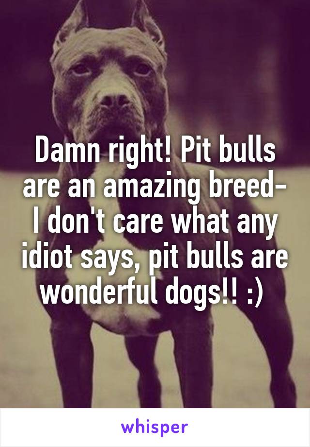 Damn right! Pit bulls are an amazing breed- I don't care what any idiot says, pit bulls are wonderful dogs!! :) 