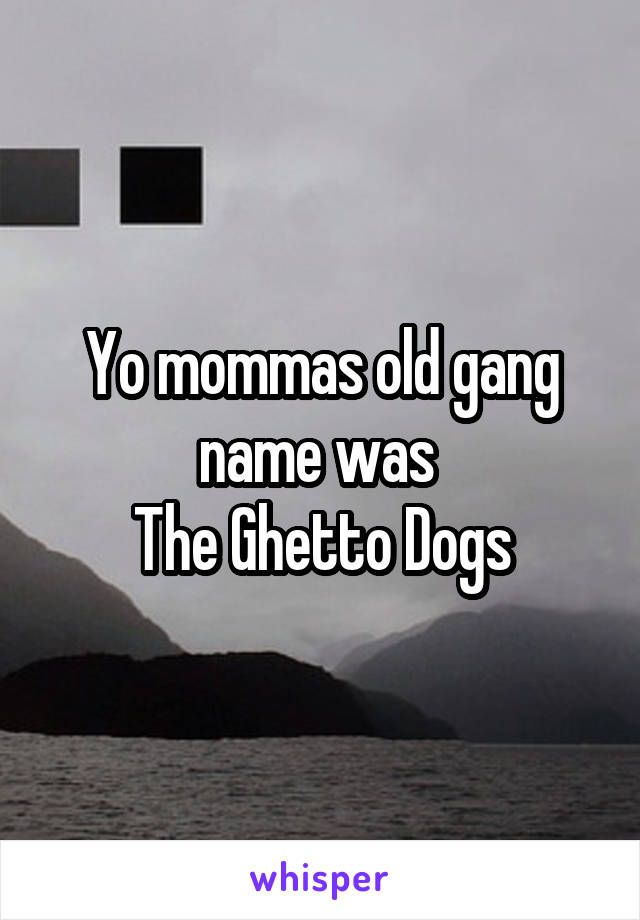 Yo mommas old gang name was 
The Ghetto Dogs