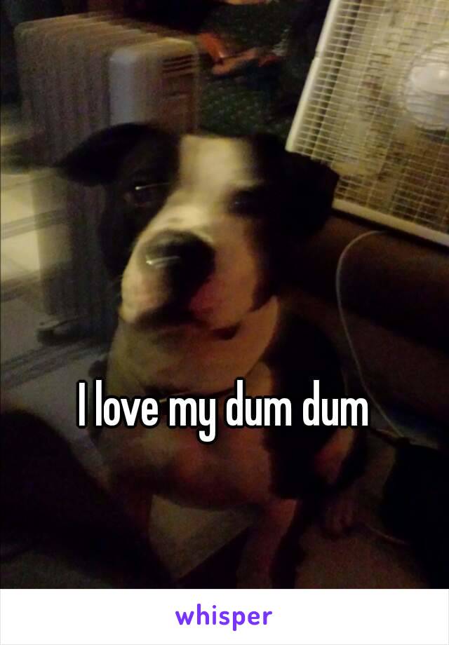 I love my dum dum